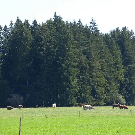 شقة Nr 2, Lechbruck-gruendl, Allgaeu Prem
