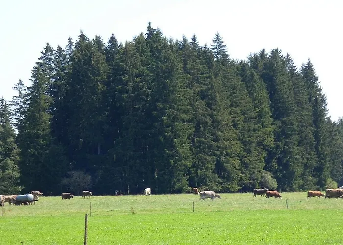 شقة Nr 2, Lechbruck-gruendl, Allgaeu Prem